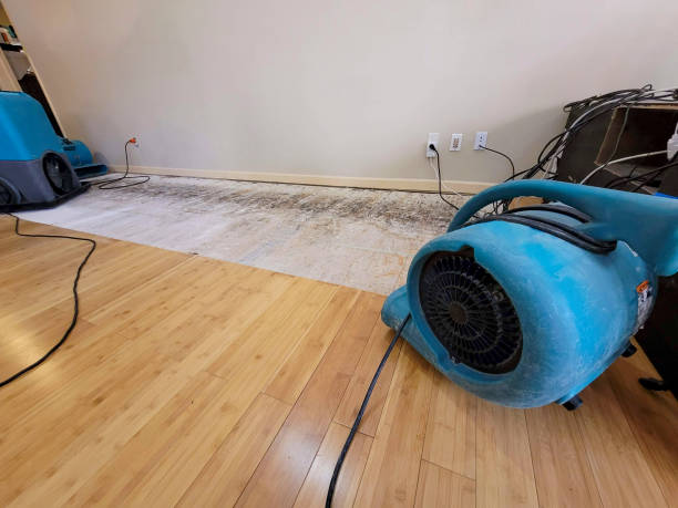 Professional Water Removal technician working in Lockhart, FL